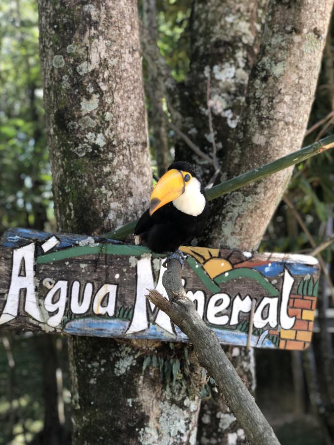 Fazenda Morro Pelado Hotel Águas de Lindóia Eksteriør billede